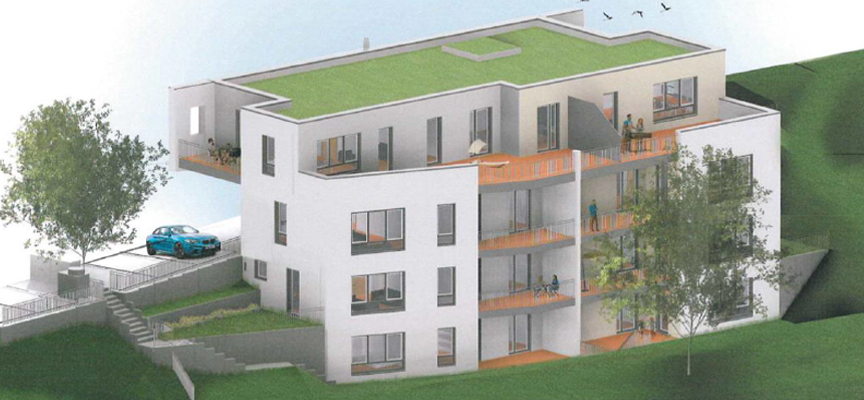 Projektentwicklung